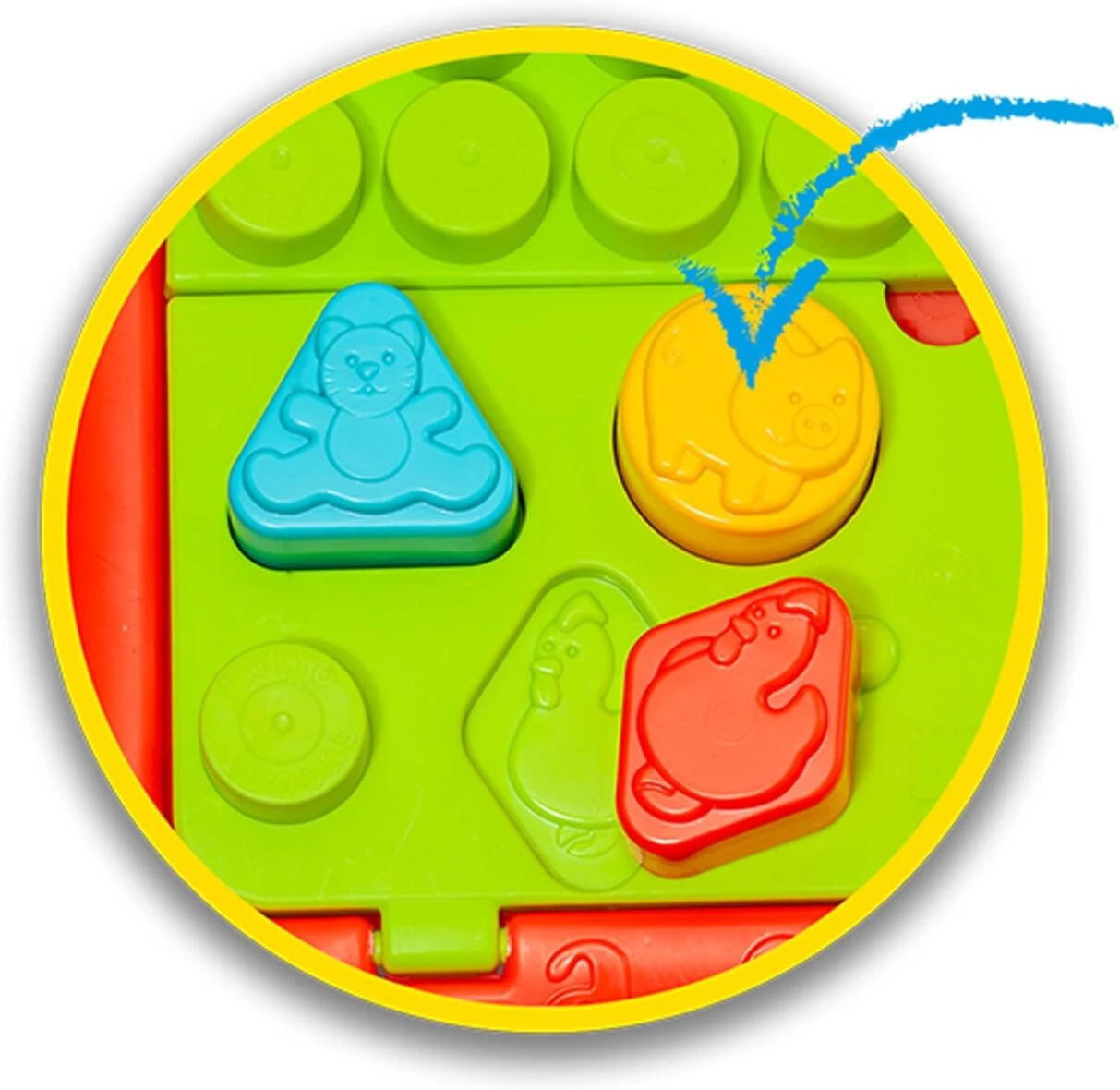 Molto Table Dactivites 20 Pieces - Wlidati Maroc